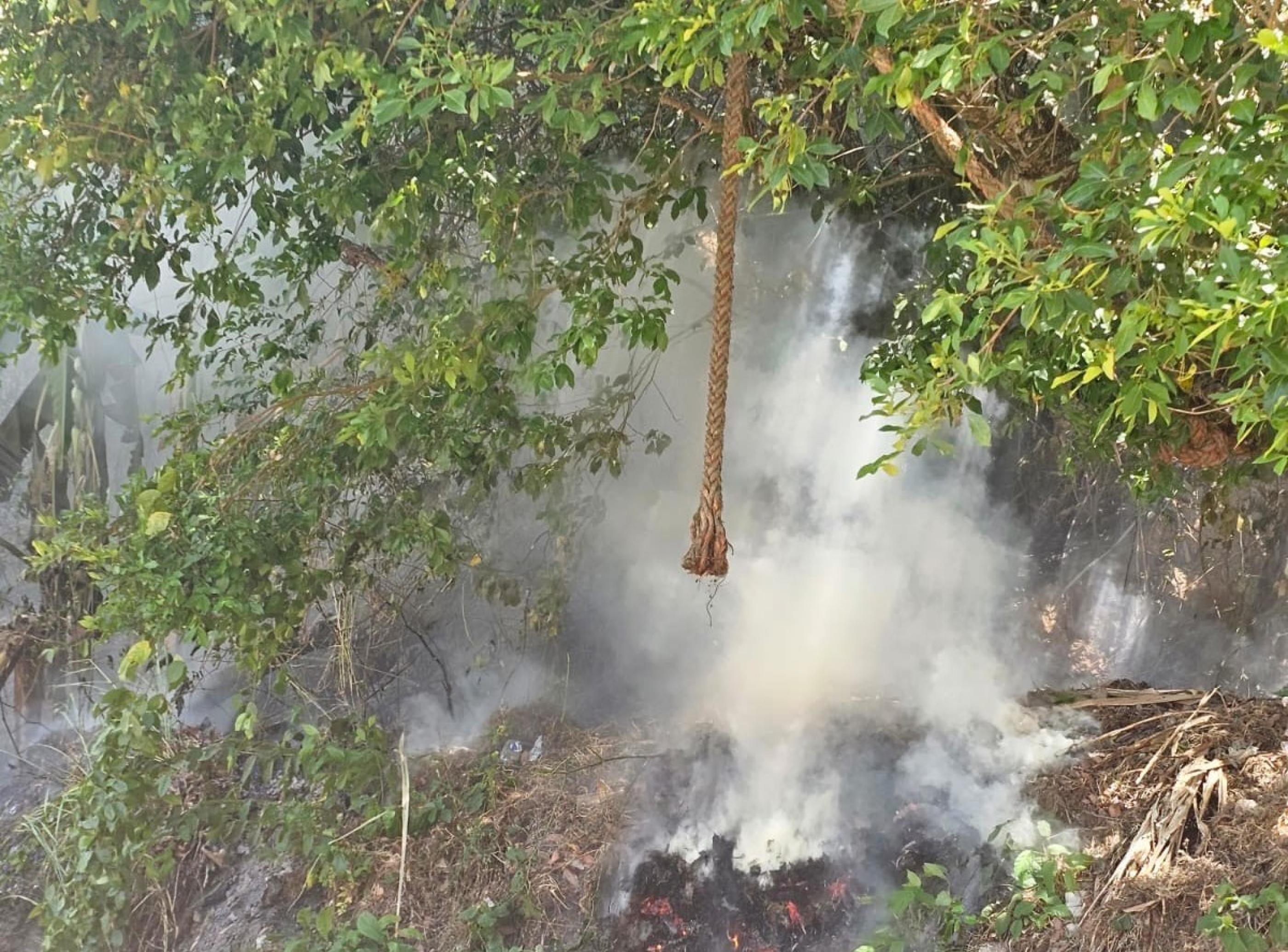 Polícia Militar atua em incêndio na Área de Preservação de Fernão Velho
