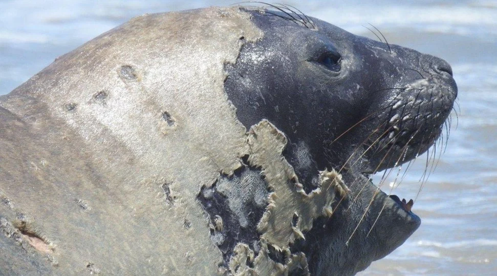 Comunidade de Lagoa Azeda rebate acusações após morte de Leôncio