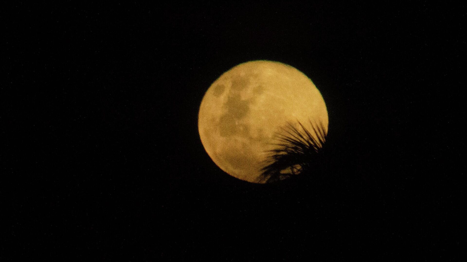 Primeira superlua de 2026 é observada no céu do Brasil neste sábado