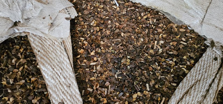 Fiscalização apreende mais de 21 toneladas de café irregular em compras públicas no Paraná