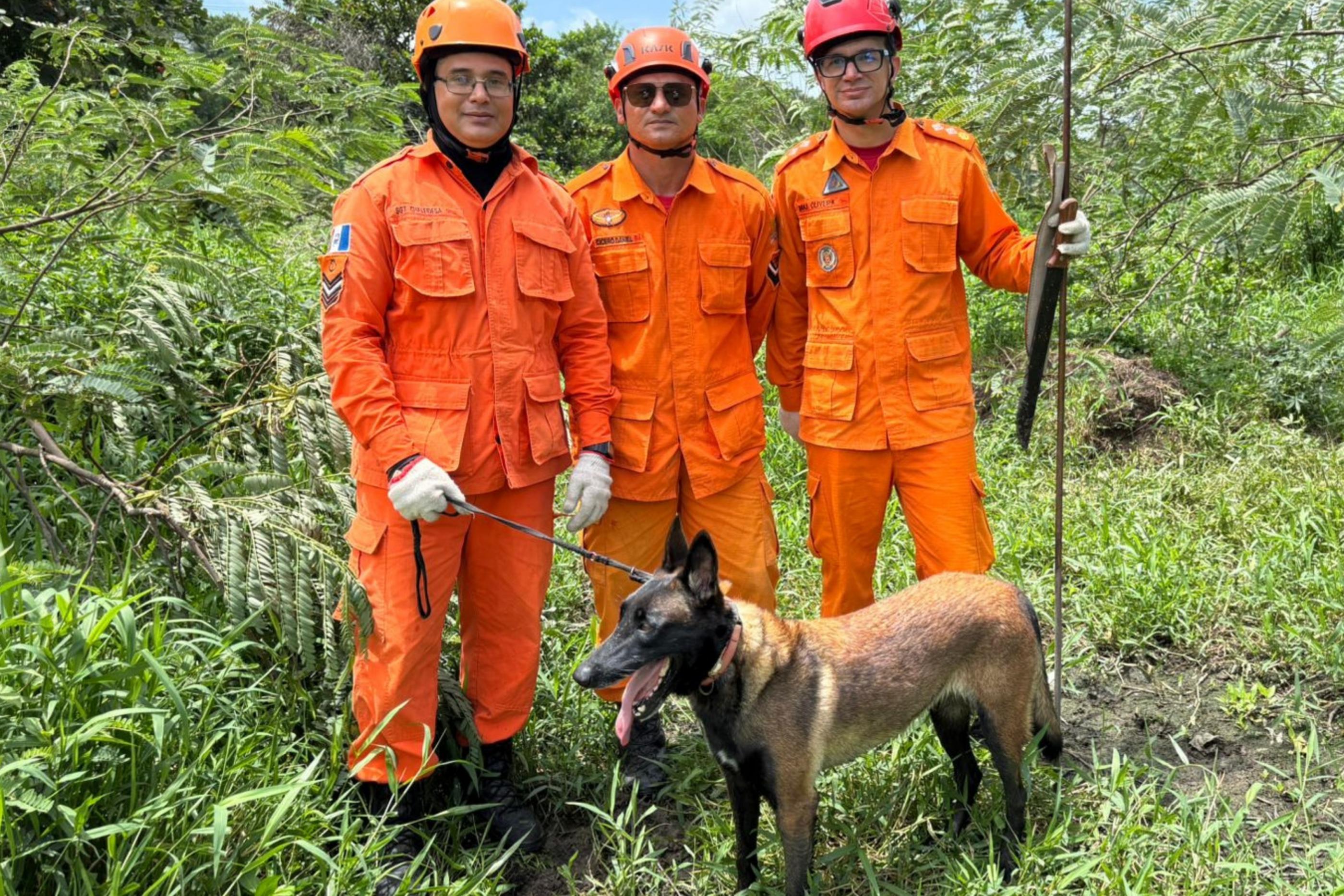 Bombeiros registram 70 ocorrências de desaparecimento em 2026