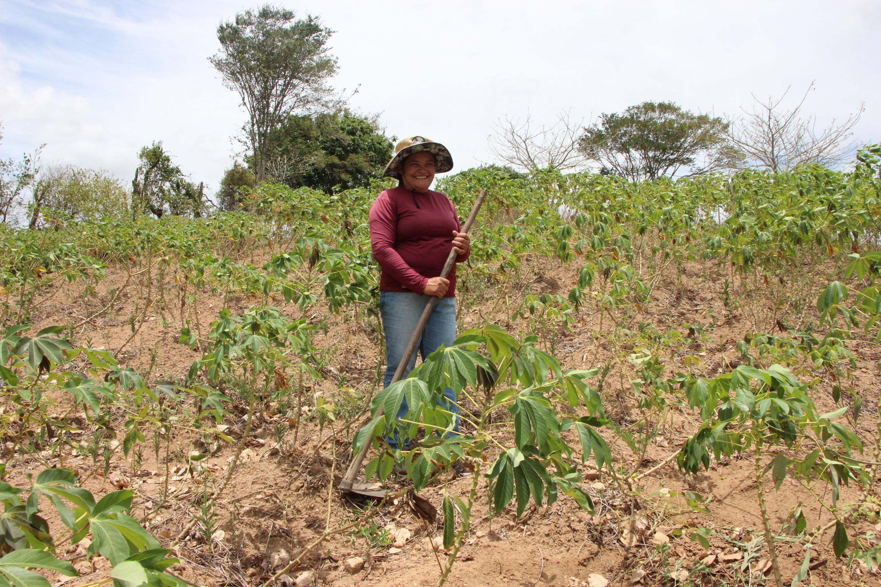 Mais de 20 mil agricultores alagoanos receberão Garantia-Safra em março