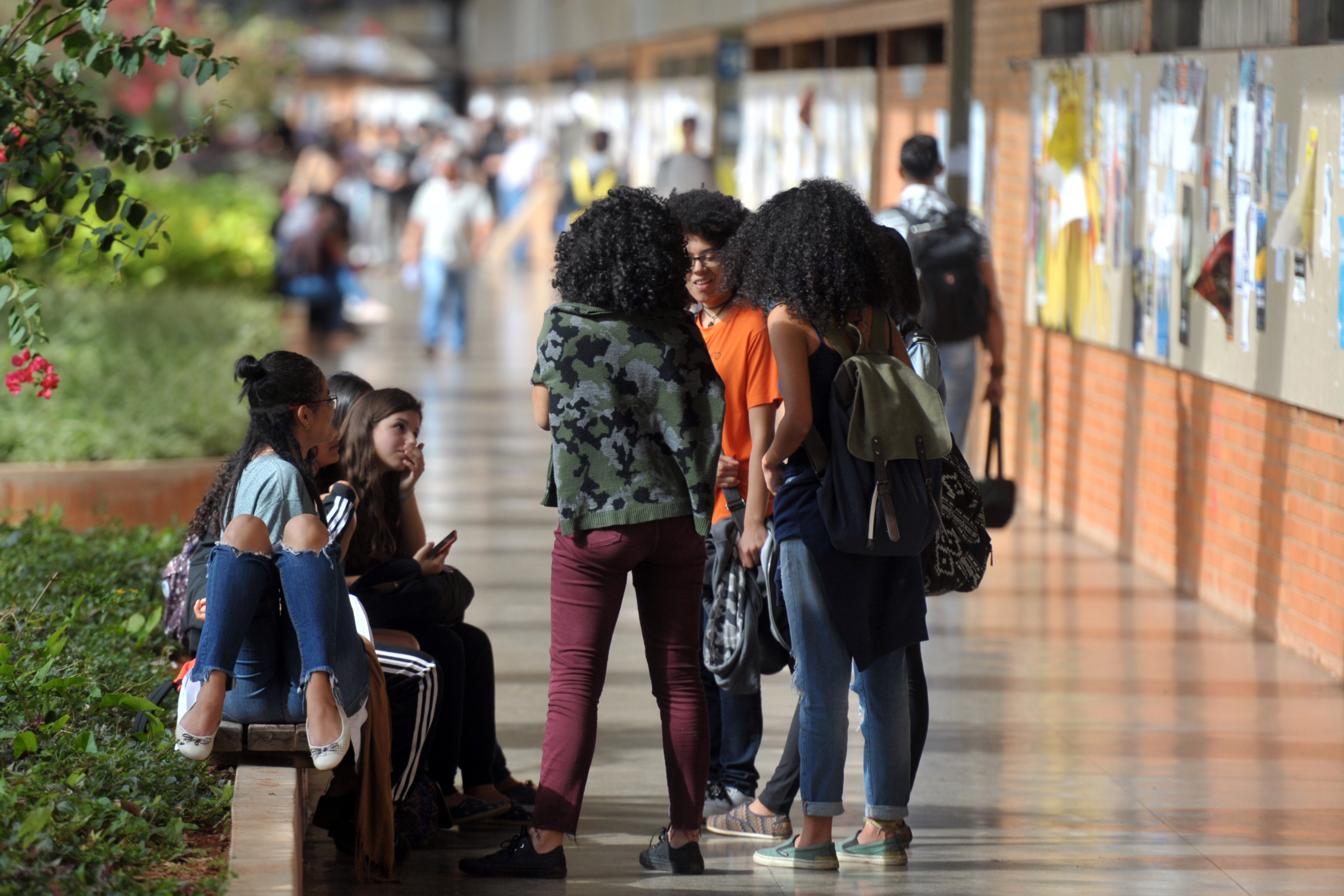 Enade: Inep divulga resultado preliminar de pedidos de atendimento especializado