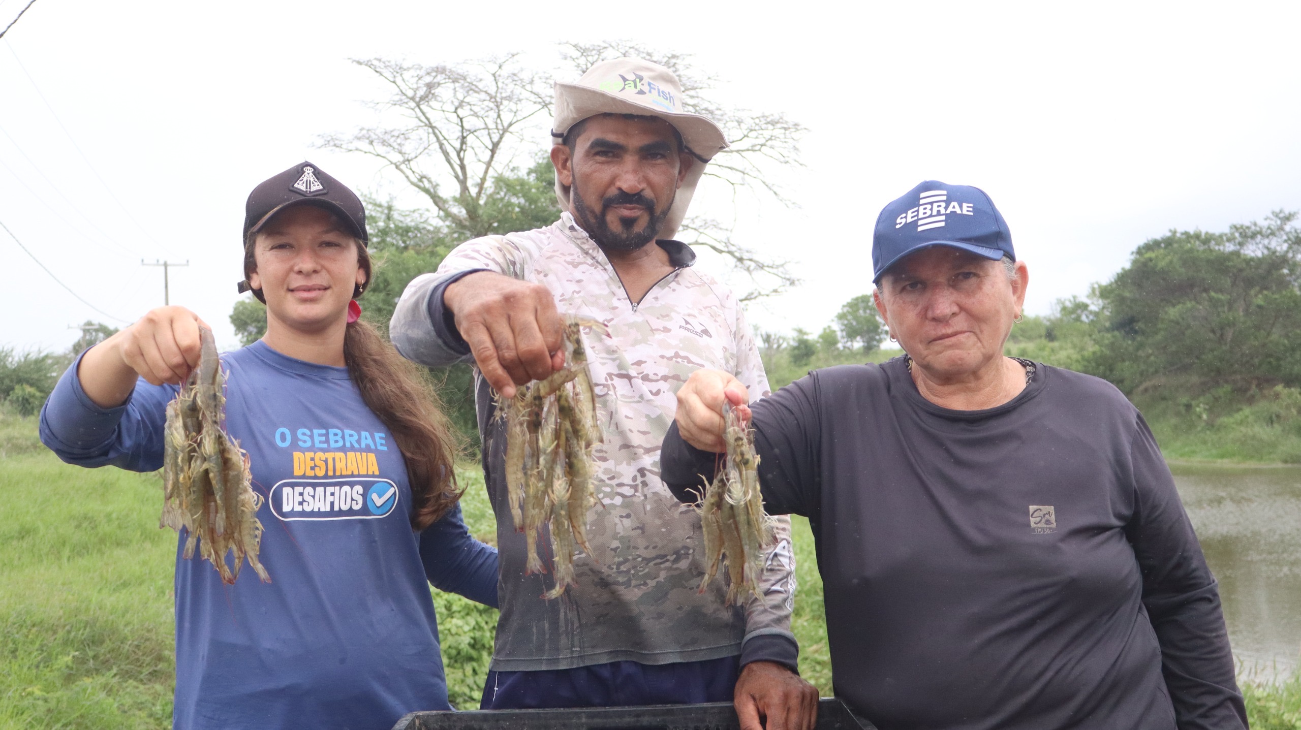 Cadeia produtiva do camarão avança em Alagoas com apoio do Senar
