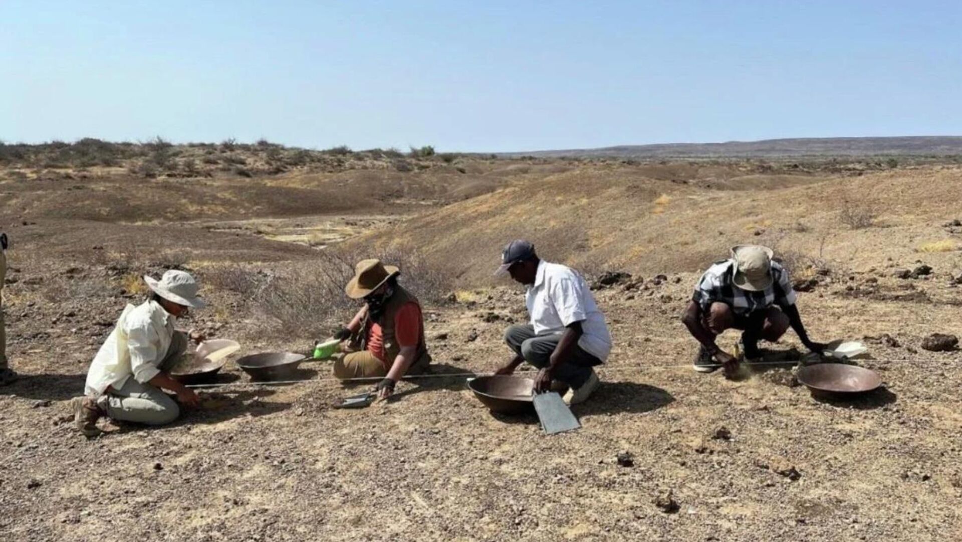 Estudo revela que hominídeos já usavam técnicas de açougue há 1,6 mi de anos
