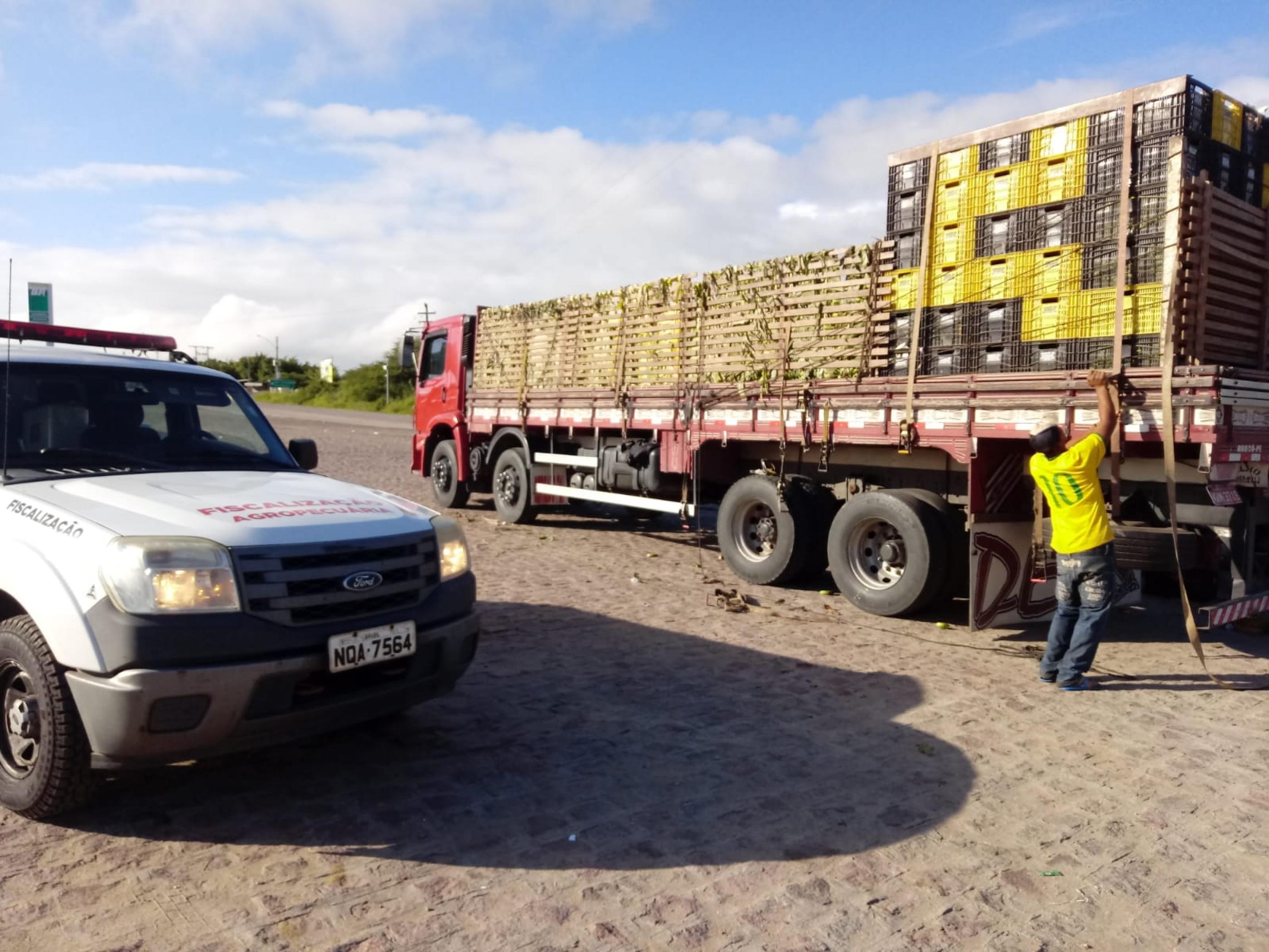 Adeal passa a emitir Permissão de Trânsito Vegetal eletrônica