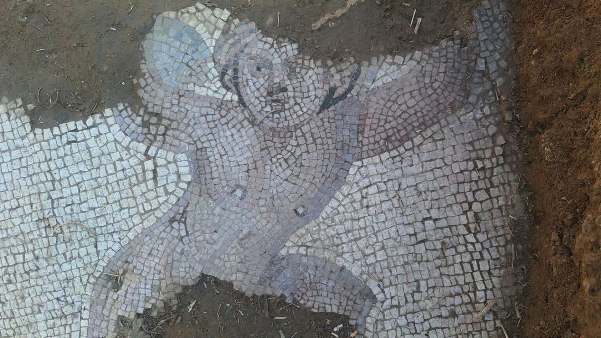 Mosaicos romanos de 1.600 anos revelam assentamento desconhecido
