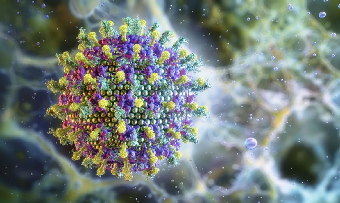 Nipah: saiba mais sobre o vírus que preocupa a SIA