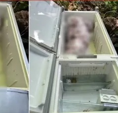 Acusado de matar sogra e ocultar corpo em geladeira será julgado em outubro em Maceió
