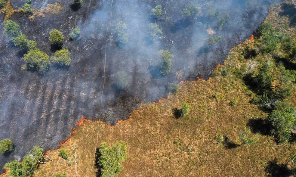 Amazônia registra menor índice de desmatamento em dez anos, aponta Inpe