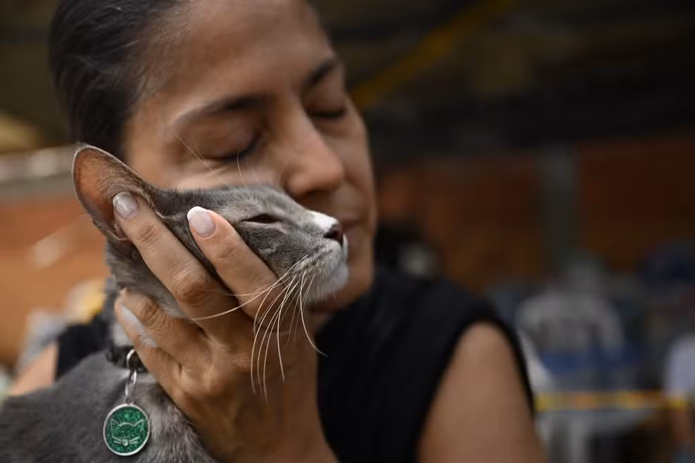 Resgate de animais leva esperança a vítimas de terremoto na Colômbia