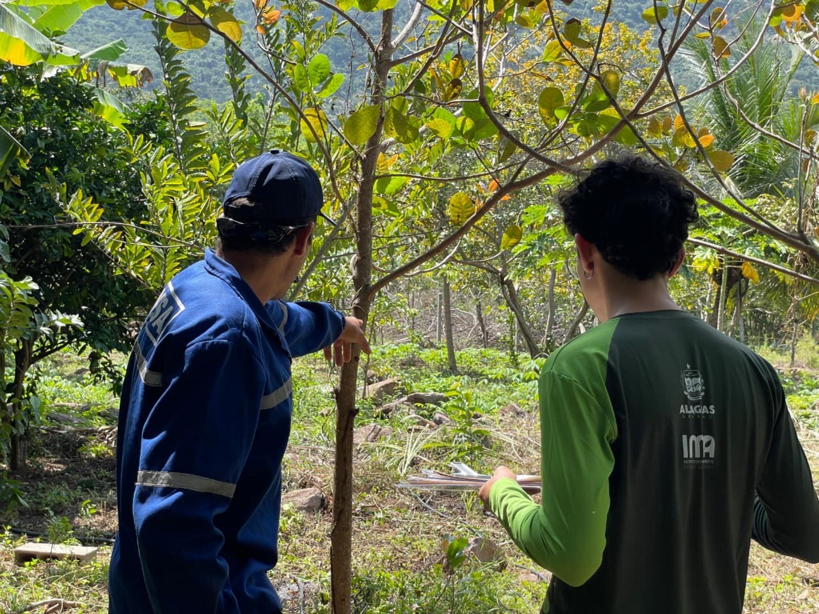 Programa incentiva preservação ambiental no sertão alagoano