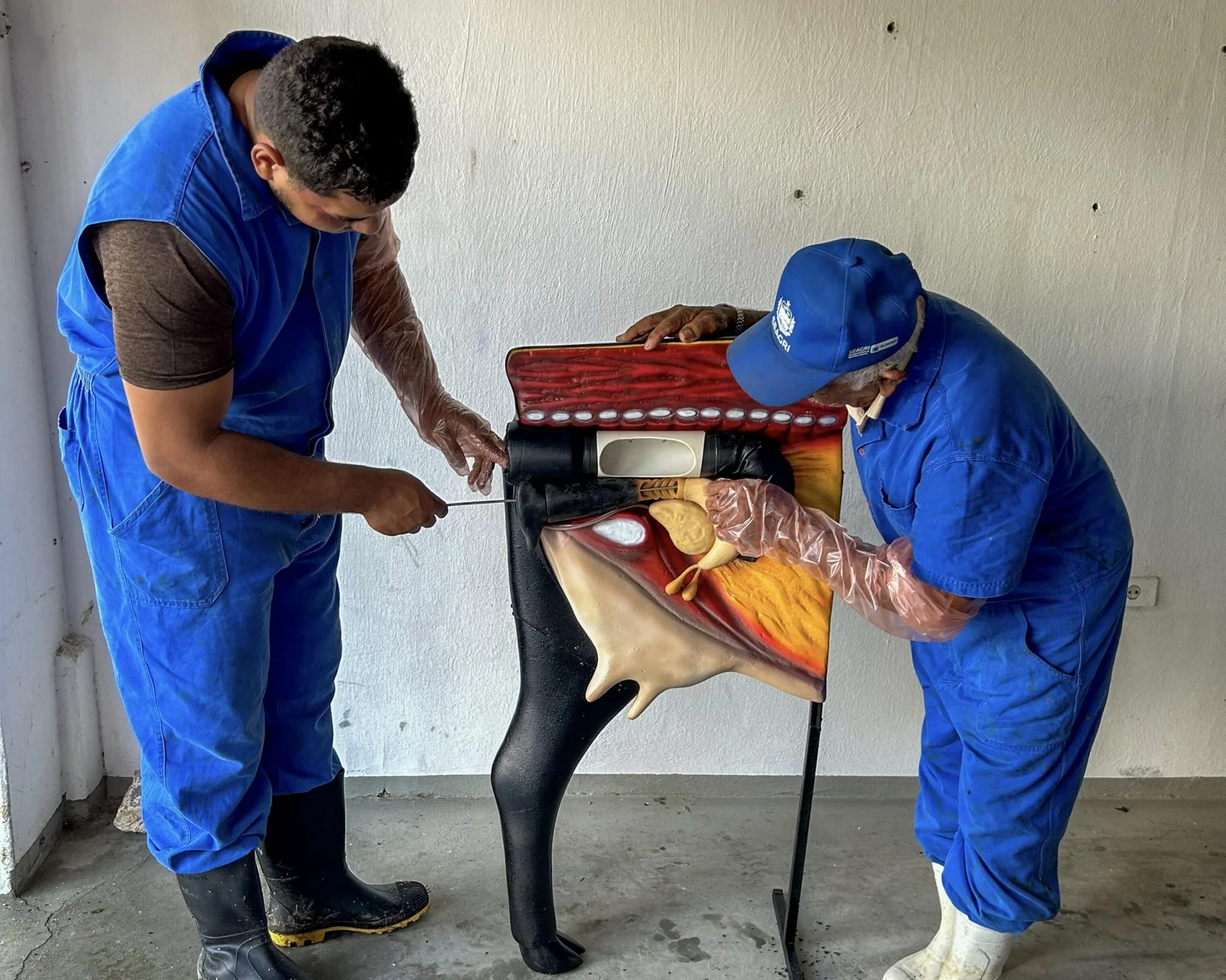 Seagri abre inscrições para nova turma do Curso de Inseminação em Batalha