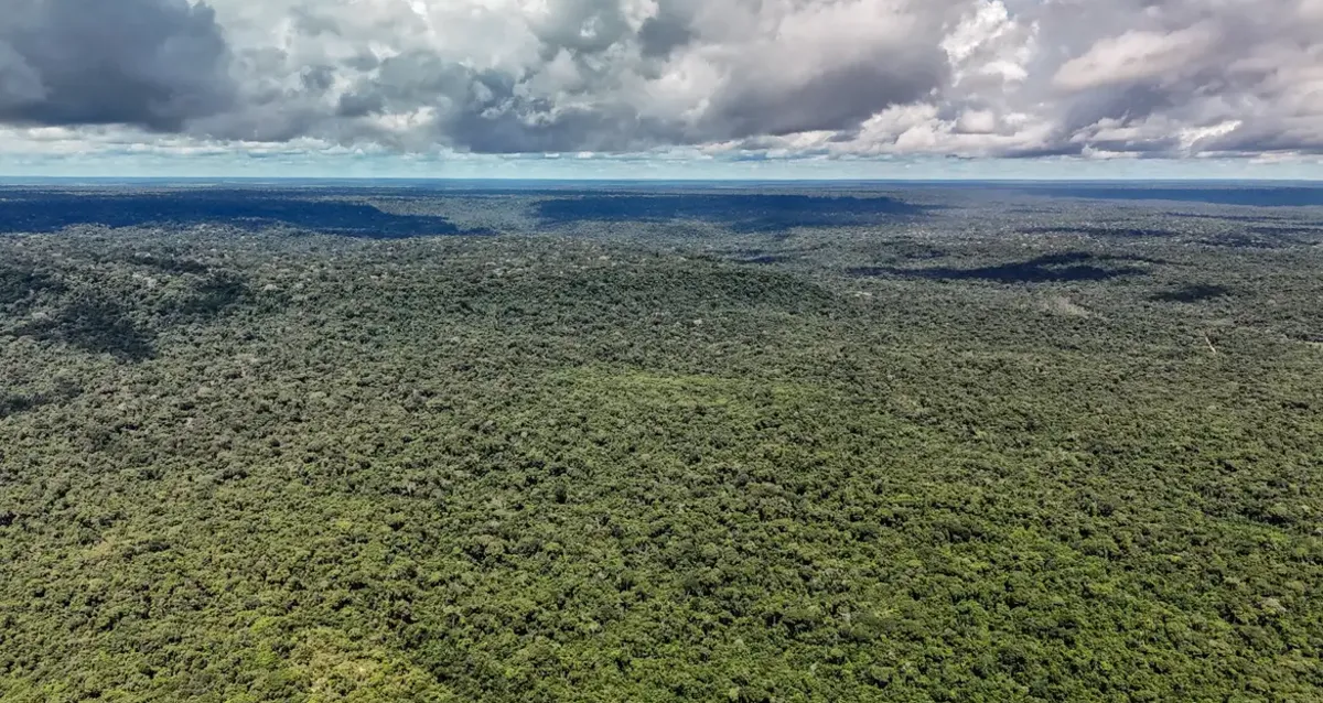 Amazônia registra menor desmatamento em 41 anos, aponta MapBiomas