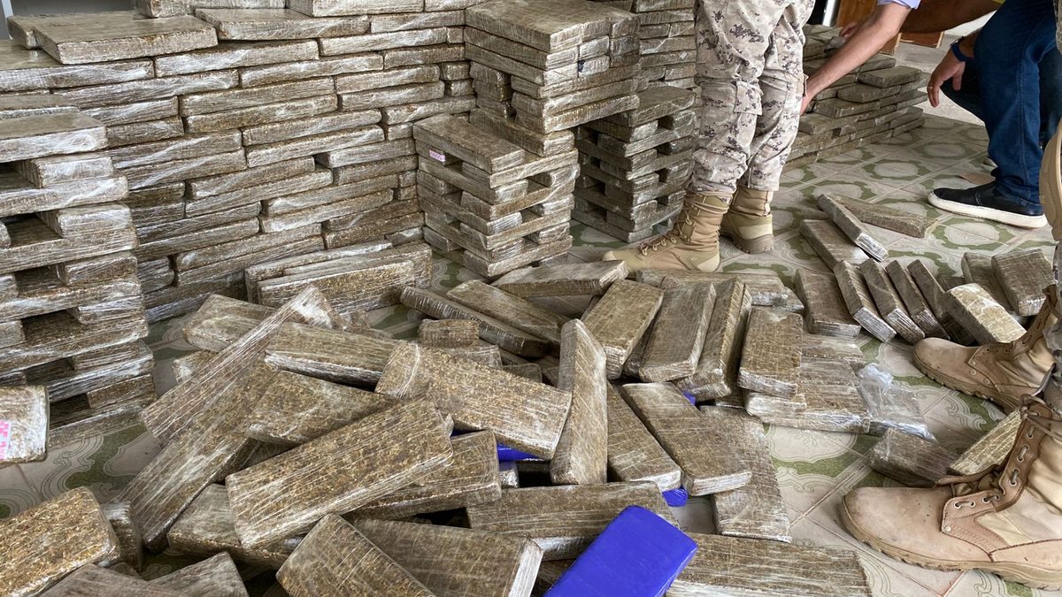 Mais de R$ 4 milhões em drogas são apreendidos no Agreste de Alagoas