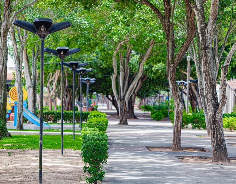 Consulta pública define diretrizes para arborização urbana em Alagoas
