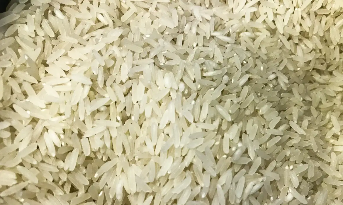 TRF-4 derruba liminar e leilão de arroz está mantido