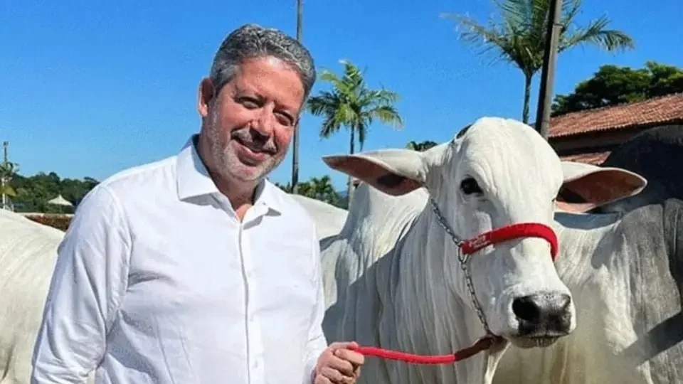 Arthur Lira fatura R$ 4 milhões em leilão de gado Nelore em Alagoas