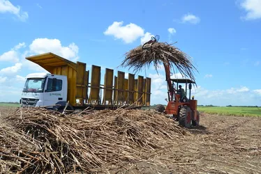 Asplana defende subvenção para evitar colapso do setor canavieiro