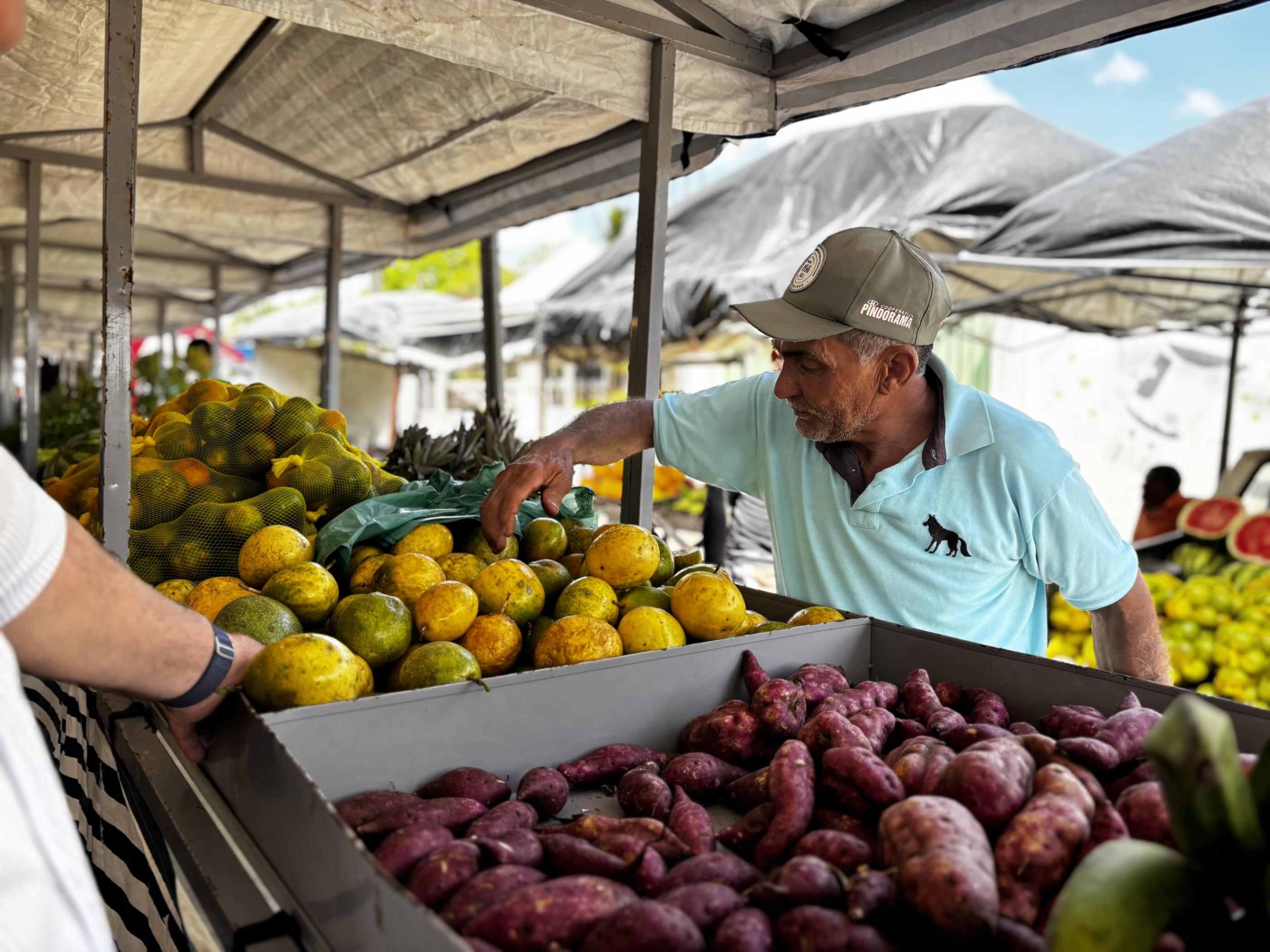 Circuito Regional de Feiras da Agricultura Familiar ganha novo formato em 2026