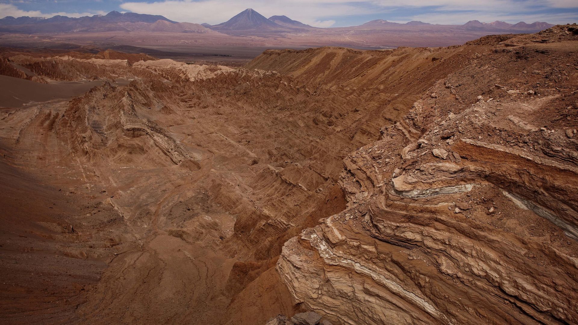 Lanças de 5.000 anos encontradas no Chile eram usadas para caçar lhamas