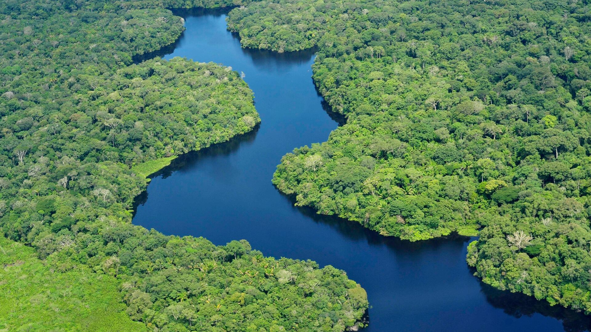 Petrobras anuncia aporte de R$ 2,8 bilhões no Amazonas para impulsionar indústria naval