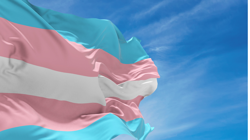 TRE-AL registra aumento de eleitores trans entre 2024 e 2026