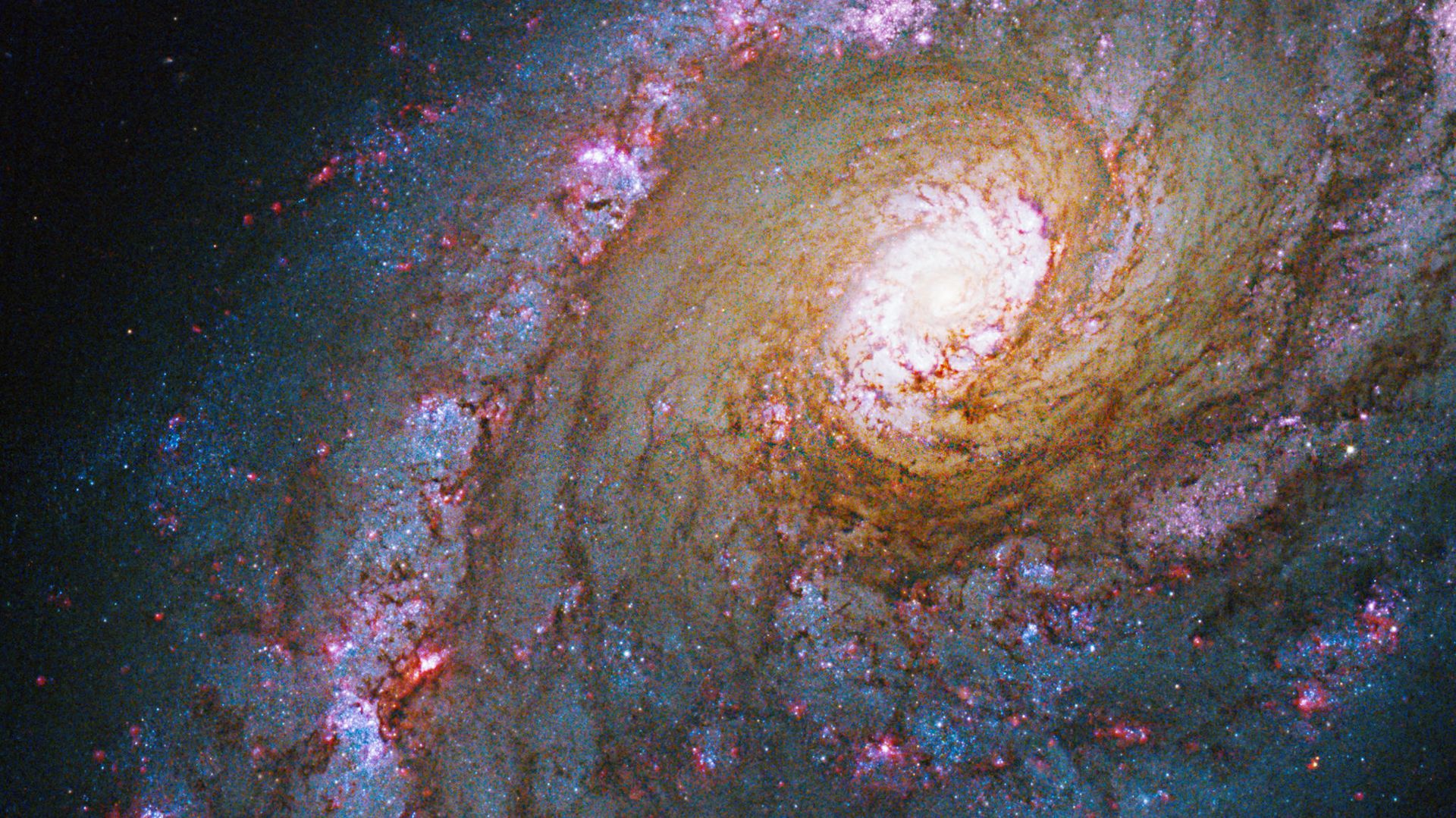 Buraco branco pode ser solução matemática para o Big Bang, aponta astrofísico