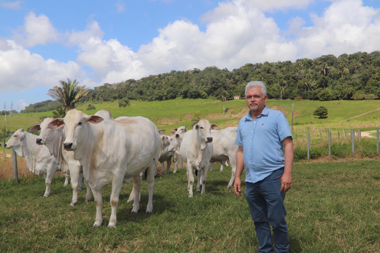 Varrela leva ao mercado genética Nelore com foco em desempenho e eficiência