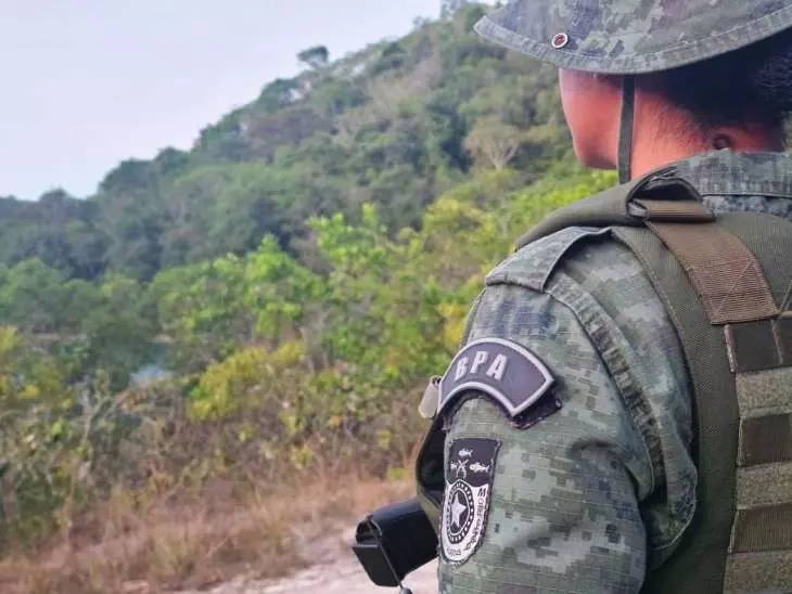 Polícia Militar apreende 60 aves silvestres em feiras de Maceió e Rio Largo