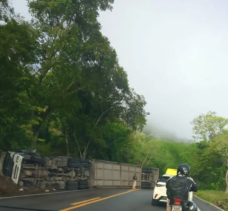 Caminhão-cegonha tomba e interdita parcialmente a BR-316 em Satuba