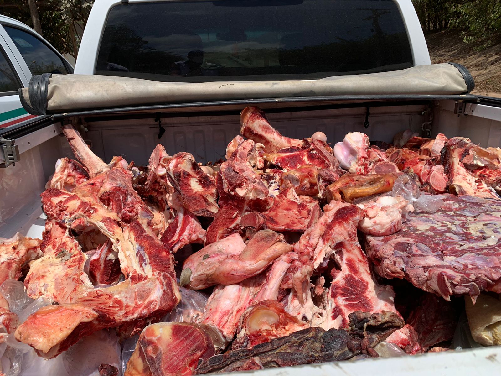 Vigilância apreende mais 1.600 kg de alimentos impróprios para consumo humano