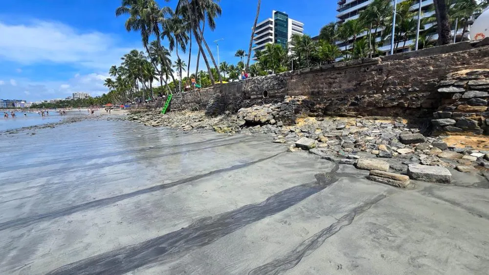 Línguas sujas de menor porte invadem a praia de Ponta Verde