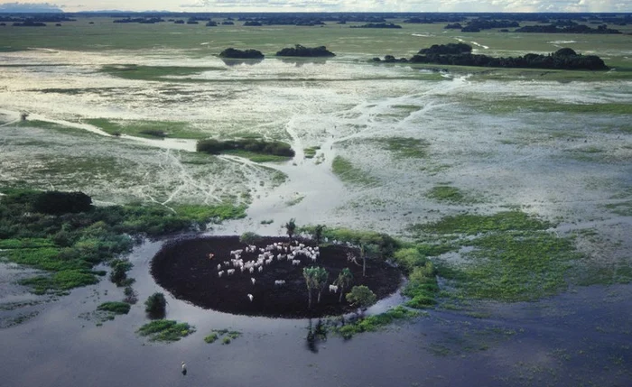 Alagoas cria comitê para monitorar possíveis impactos do El Niño