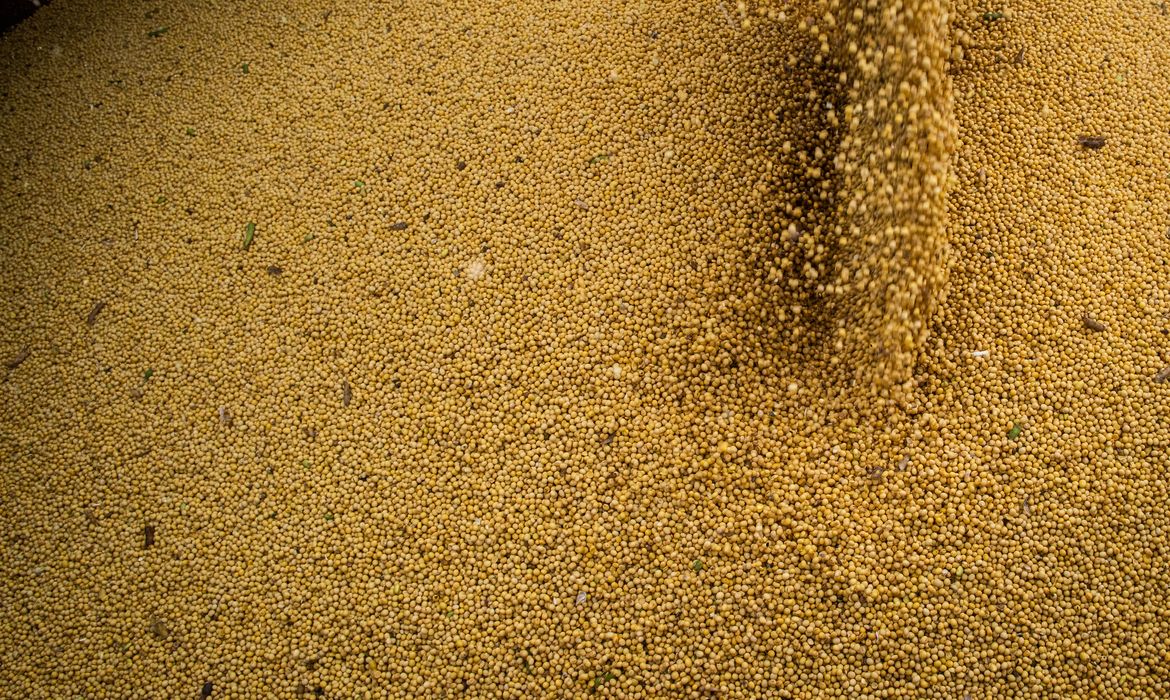 Agropecuária cresce 11,7%, impulsiona PIB e amplia participação na economia