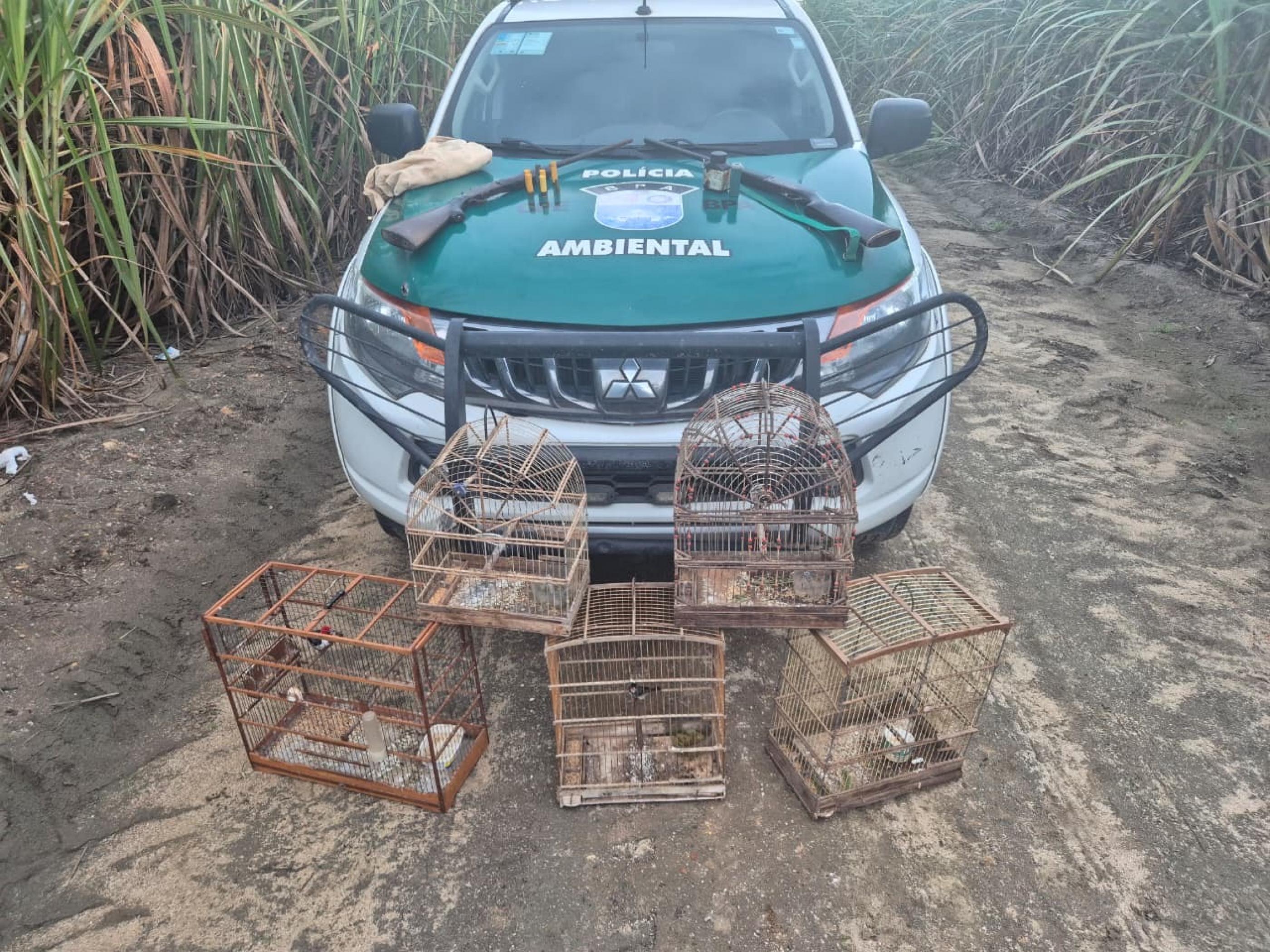 PM-AL resgata mais de 250 animais silvestres e apreende oito armas em ações