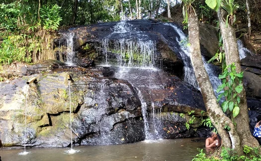 Murici revela um Alagoas onde a natureza é a grande protagonista