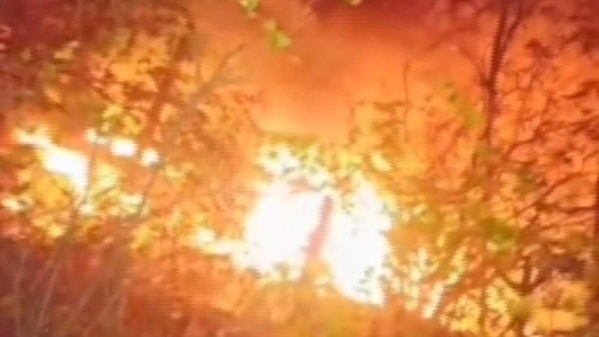 Caminhão-baú cai em ribanceira e é destruído por incêndio em Pão de Açúcar
