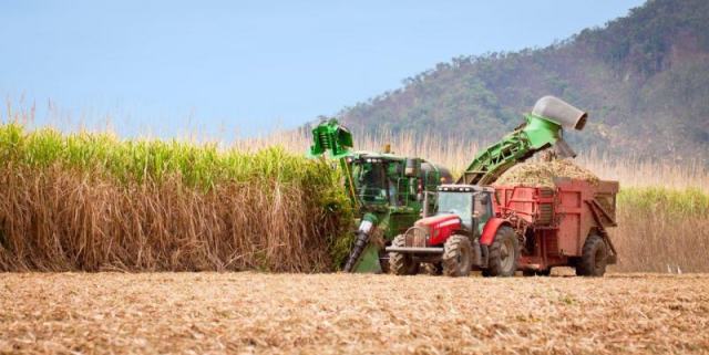 Safra acumula mais de 12,8 mi de toneladas de cana processadas