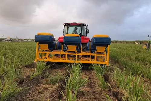 Cana Show testa no campo novas tecnologias para reduzir custos do produtor