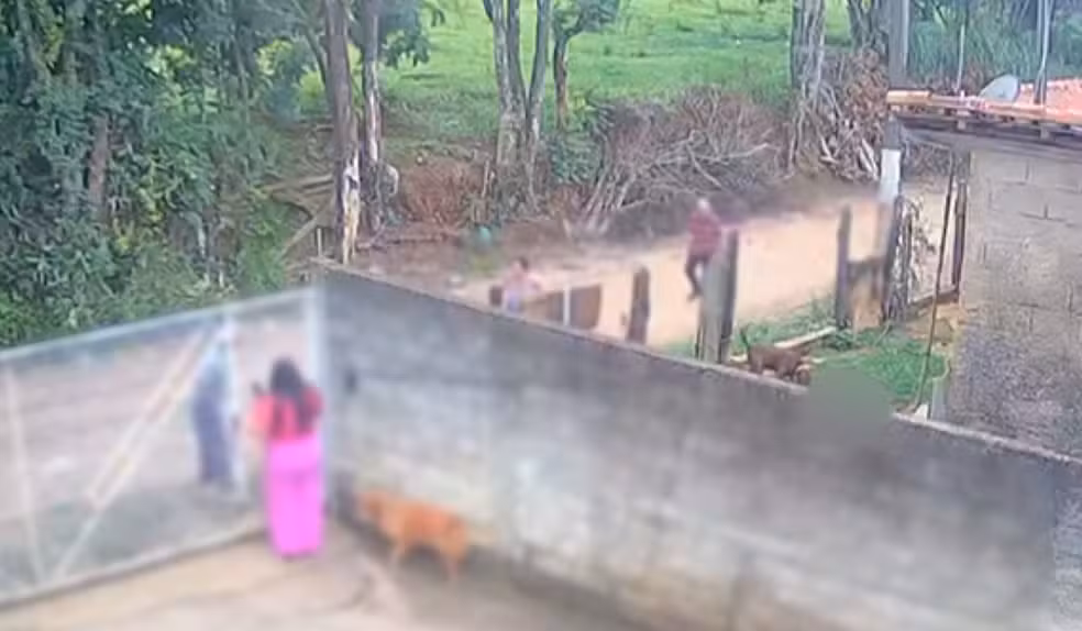 VÍDEO: Bebê de 11 meses morre após ataque de pitbull em Socorro (SP)
