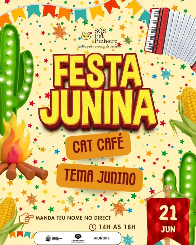 Café, gatos e adoção: Cat Café promete tarde junina neste domingo
