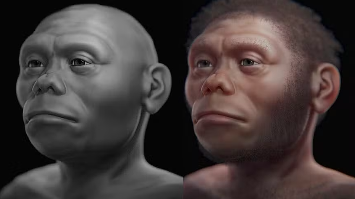 Pesquisa indica que 'hobbits' humanos viviam de carcaças na Indonésia
