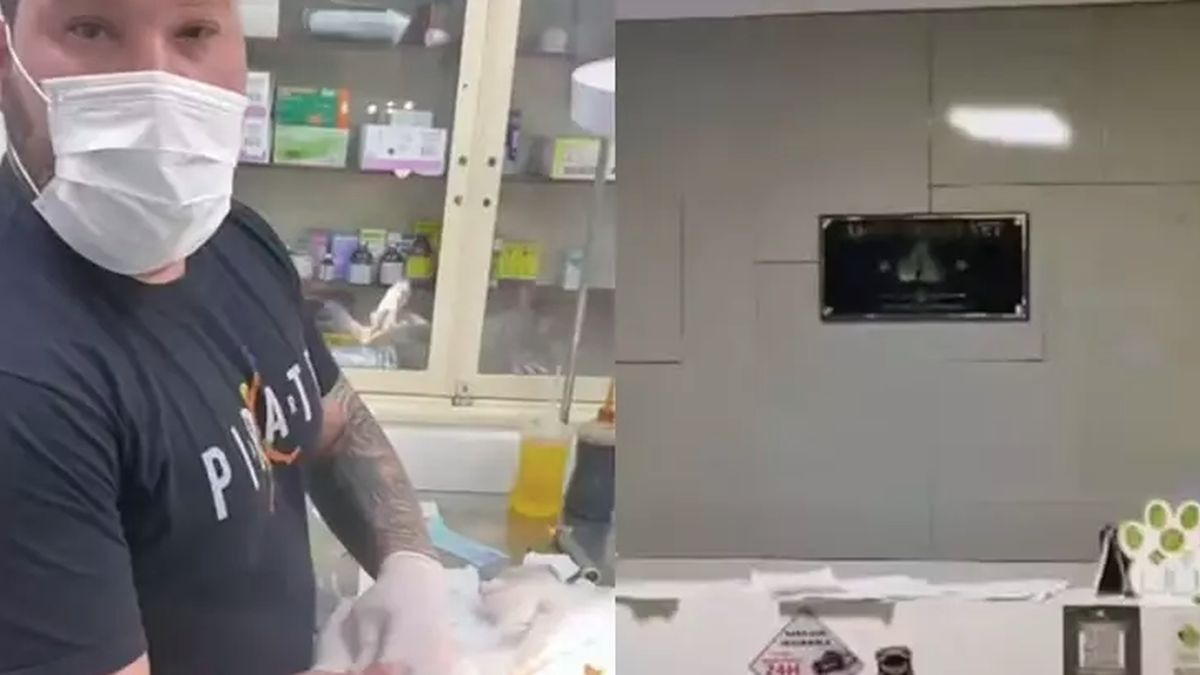 Falso veterinário é preso durante cirurgia em gato no Rio