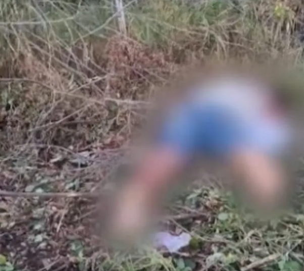 Ex-detento que transportava galinhas é encontrado morto na AL-101 Sul