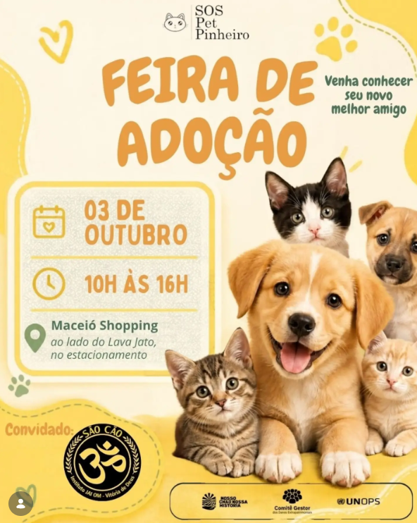 Feira de adoção reúne cães e gatos neste sábado no Maceió Shopping