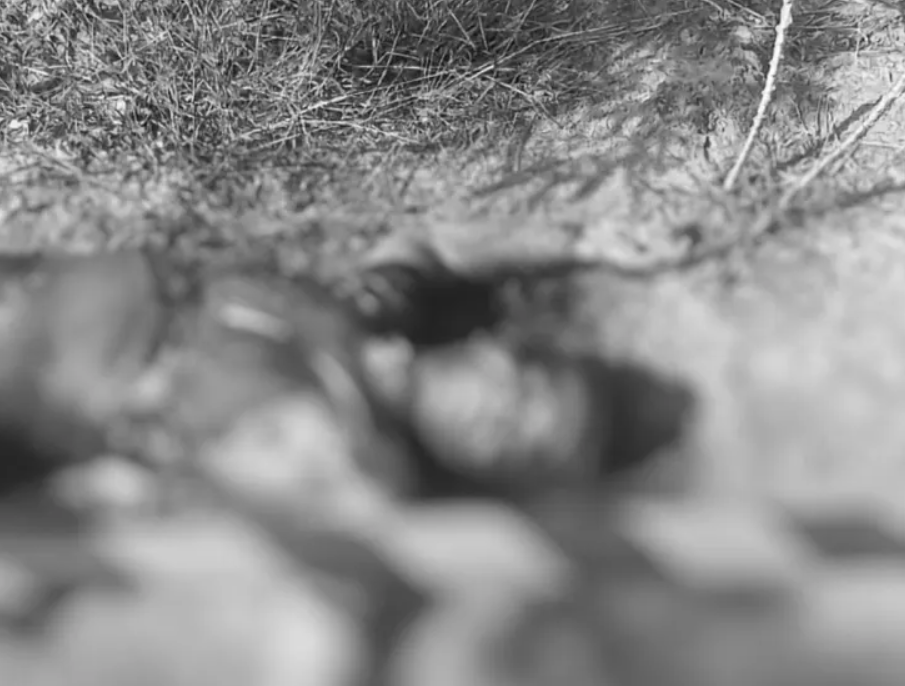Homem é encontrado morto com marcas de tiros e queimaduras em Limoeiro