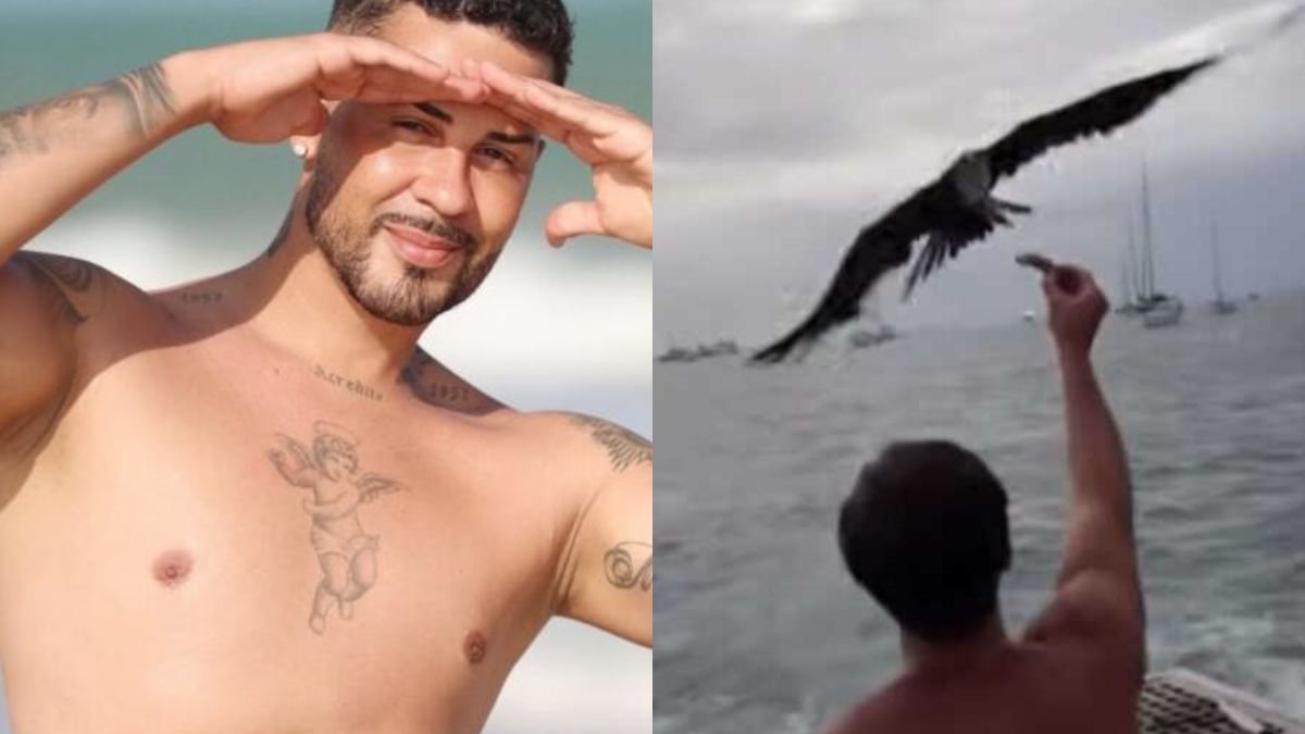 Justiça suspende multa de R$ 1 milhão contra Carlinhos Maia por vídeo de gaivota
