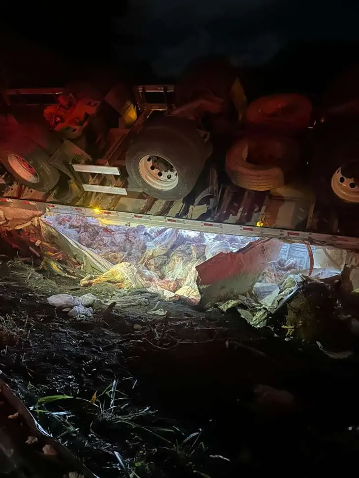 Motorista fica ferido após carreta com carne capotar na BR-101