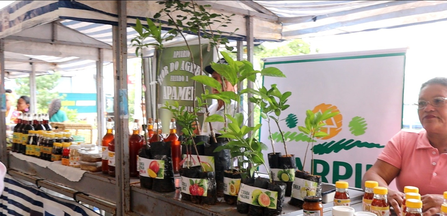 Carpil impulsiona diversificação produtiva com entrega de mudas em Alagoas